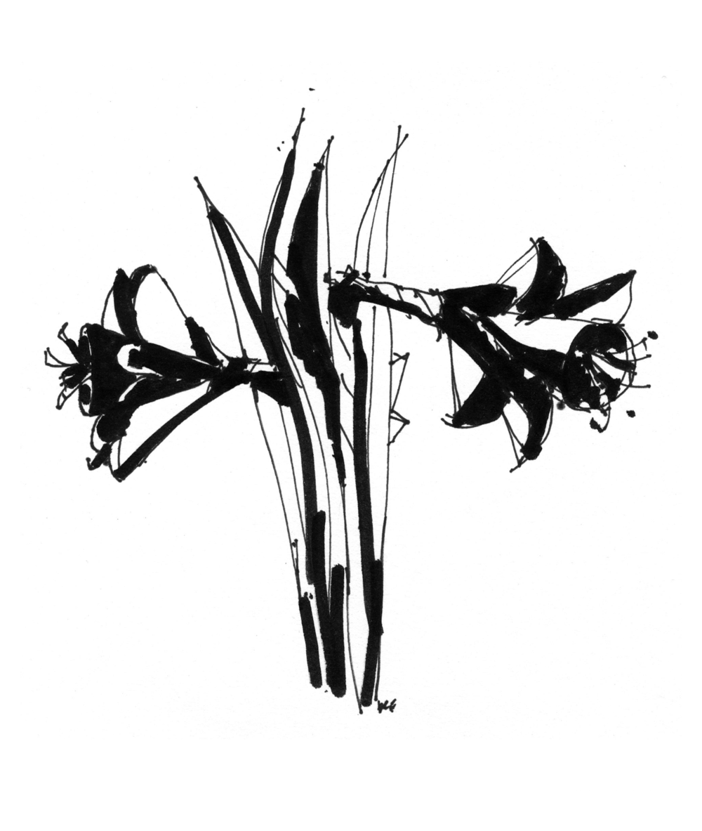 Artwork - View 16