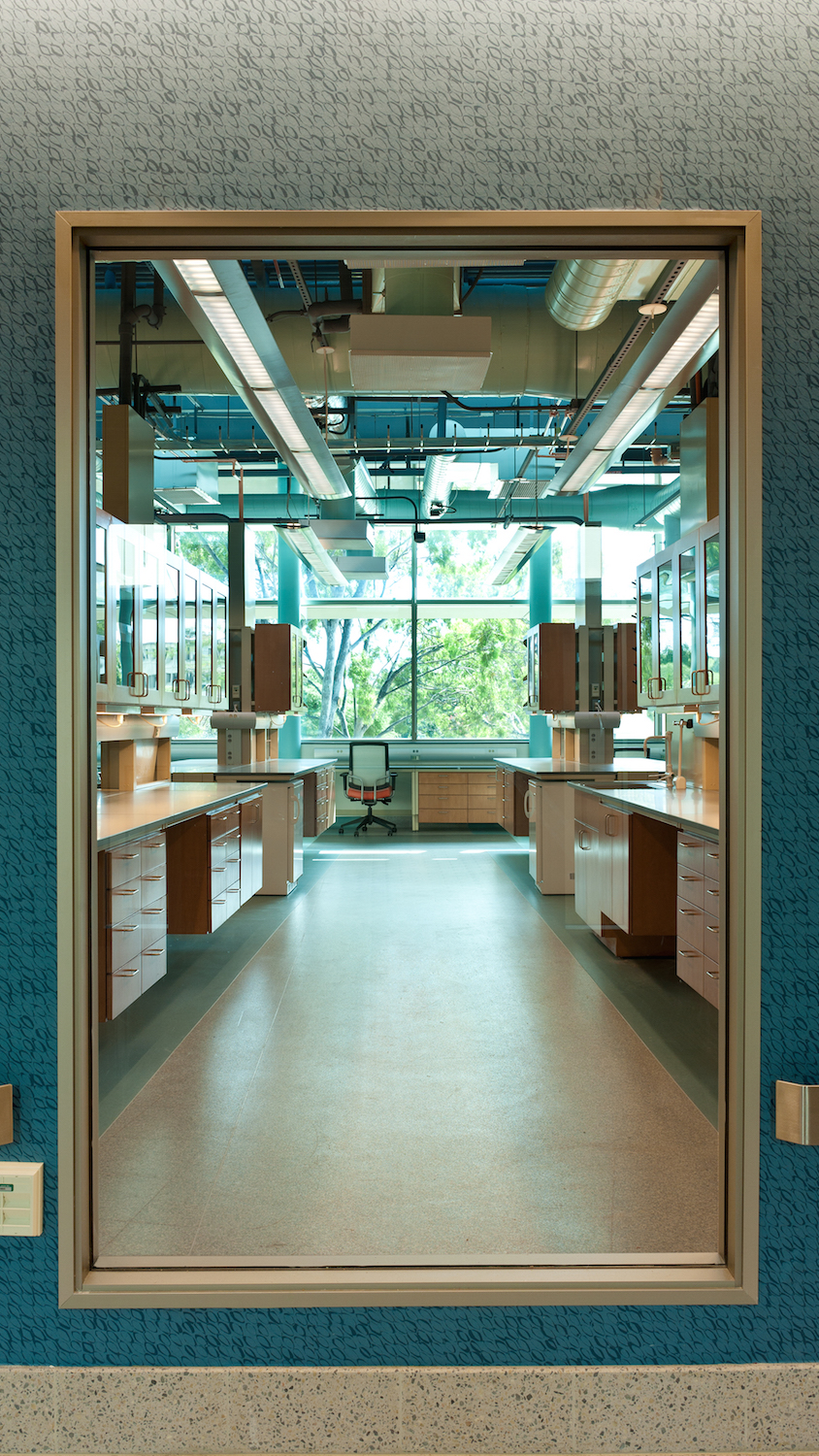Center for Microbial Oceanography: Research & Education - View 4